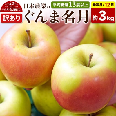 【26年12月発送】りんご ぐんま名月【訳あり】約3kg|24_nng-090301ag