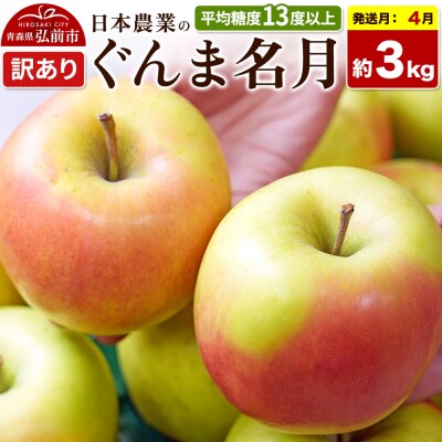 りんご ぐんま名月【訳あり】約3kg【CA貯蔵】|24_nng-090301ak