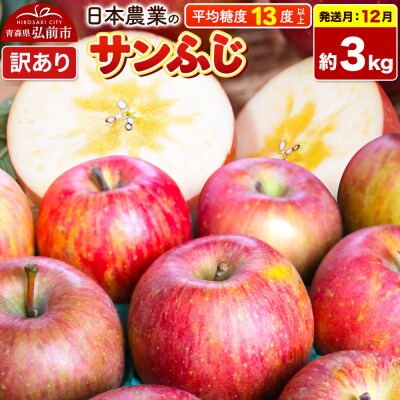 りんご【26年12月発送】サンふじ【訳あり】約3kg|24_nng-120301ag