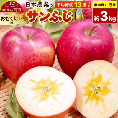 りんご【27年5月発送】サンふじ【おもてなし用】約3kg【CA貯蔵】|24_nng-120301bl
