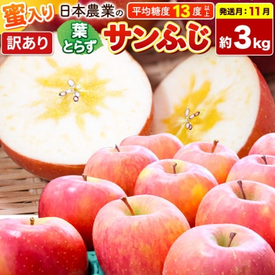 【26年11月発送】りんご 葉とらずサンふじ約3kg【訳あり】蜜入り|24_nng-130301af