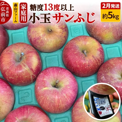 りんご サンふじ 糖度13度以上【家庭用】約5kg 小玉 森山ファーム|24_myf-010501a