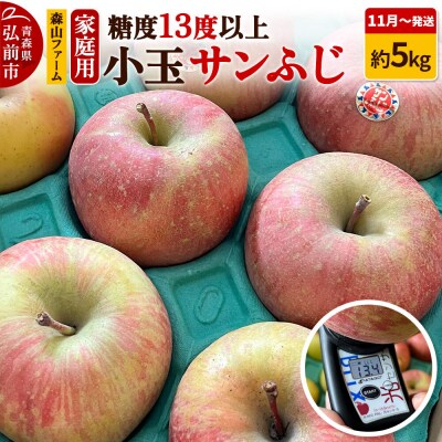 りんご サンふじ【家庭用】約5kg 小玉 糖度13度以上 先行受付|24_myf-010501a