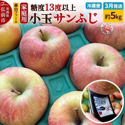 りんご サンふじ 糖度13度以上【家庭用】約5kg 小玉 森山ファーム|24_myf-010501b