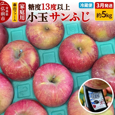 りんご サンふじ 糖度13度以上【家庭用】約5kg 小玉 森山ファーム|24_myf-010501b