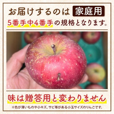 りんご サンふじ 糖度13度以上【家庭用】約5kg 小玉 森山ファーム|24_myf-010501b