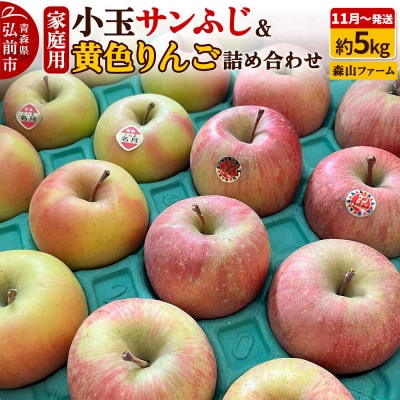 りんご サンふじ&黄色りんご【家庭用】約5kg 小玉 先行受付|24_myf-020501a