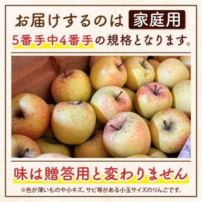 りんご サンふじ&黄色りんご【家庭用】約5kg 小玉 先行受付|24_myf-020501a