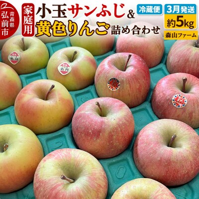 りんご サンふじ&黄色りんご【家庭用】約5kg 小玉 先行受付|24_myf-020501b