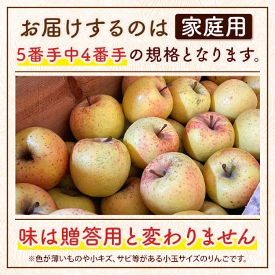 りんご サンふじ&黄色りんご【家庭用】約5kg 小玉 先行受付|24_myf-020501b