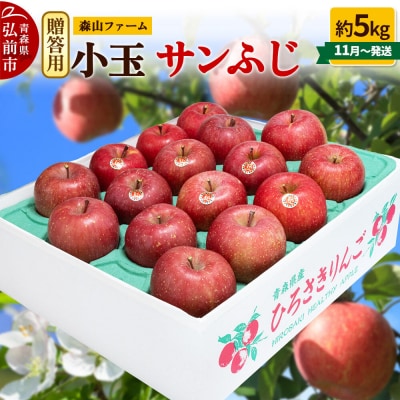 りんご サンふじ【贈答用】約5kg 小玉 先行受付|24_myf-030501