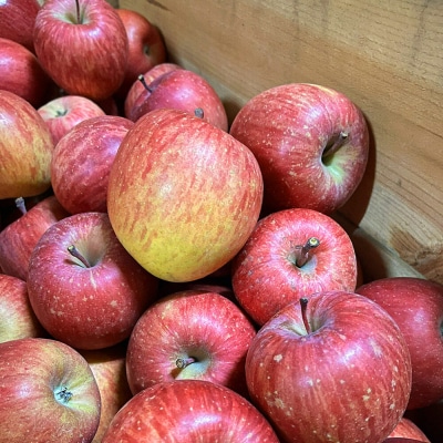 りんご サンふじ【贈答用】約5kg 小玉 森山ファーム|24_myf-030501