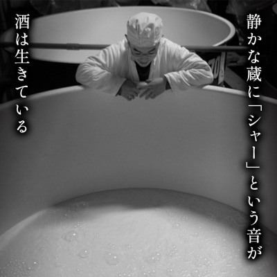 日本酒 豊盃 純米大吟醸 つるし酒 1.8L×1本|24_mkt-010101a