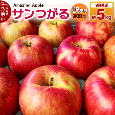 【26年9月発送】りんご サンつがる【訳あり】家庭用 約5kg|24_cmn-170501e