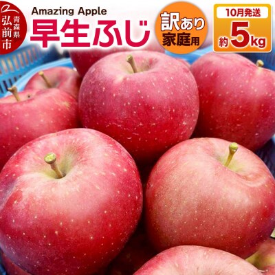 【26年10月発送】りんご 早生ふじ【訳あり】家庭用 約5kg|24_cmn-180501f