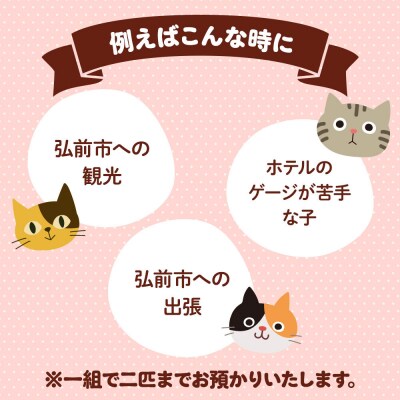 ペット ホテル【一日一組限定】キャットホテル 宿泊券 1泊|24_pwo-010101