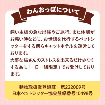 ペット ホテル【一日一組限定】キャットホテル 宿泊券 1泊|24_pwo-010101