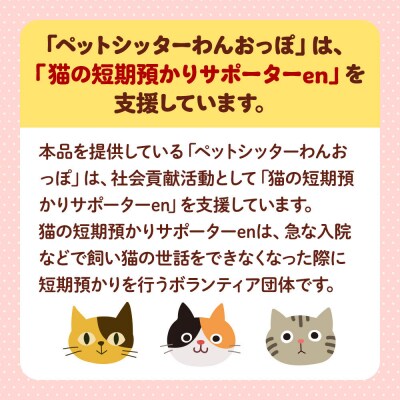 【ワンちゃんネコちゃん用】 ノーズワーク こまちのおはな2個セット|24_pwo-020201