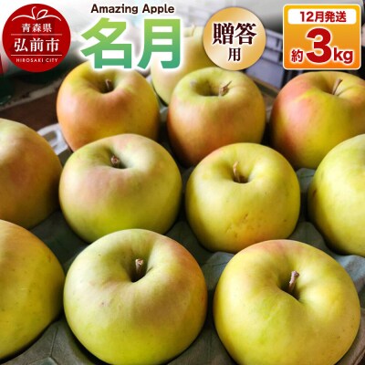 【26年12月発送】りんご 名月【贈答用】約3kg|24_cmn-020301c