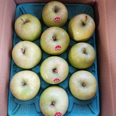 【26年12月発送】りんご 王林【贈答用】約3kg|24_cmn-050301c