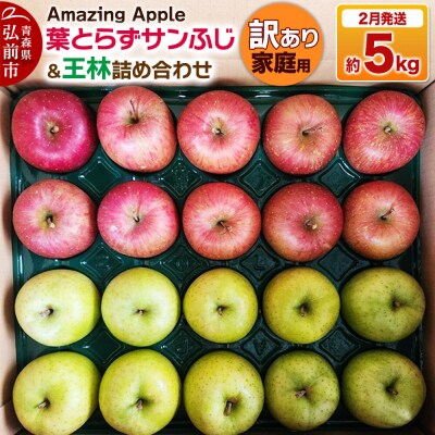 りんご 葉とらずサンふじ&王林 詰め合わせ【訳あり】家庭用 約5kg|24_cmn-070101d