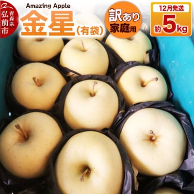 【26年12月発送】りんご 金星(有袋)【訳あり】家庭用 約5kg|24_cmn-100501c
