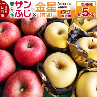 りんご 葉取らずサンふじ&金星(有袋)【訳あり】家庭用 約5kg|24_cmn-130501c
