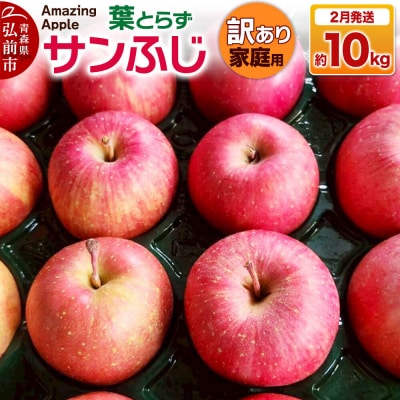 りんご 葉とらずサンふじ【訳あり】家庭用 約10kg|24_cmn-151001d