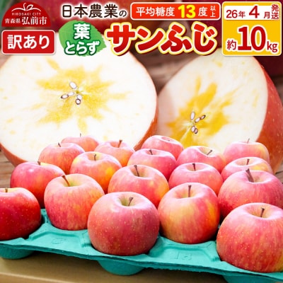 りんご 葉とらずサンふじ 約10kg 訳あり【CA貯蔵】|24_nng-131001ak
