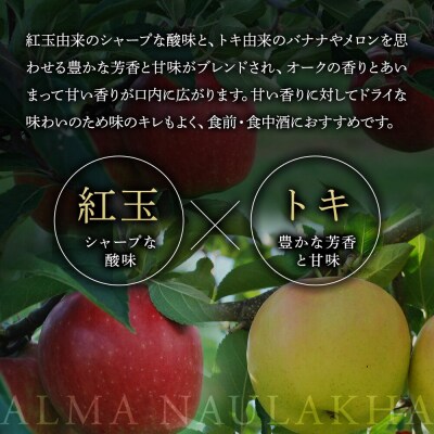りんごのお酒 ハードサイダー【アルマナウラカ】 750ml 1本|24_ntn-020101
