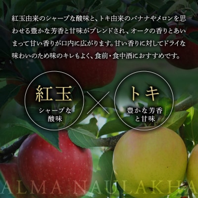 りんごのお酒 ハードサイダー【アルマナウラカ】 750ml 1本|24_ntn-020101