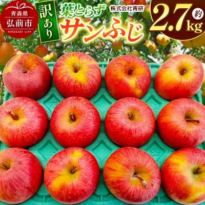 りんご 葉とらずサンふじ【訳あり】約2.7kg スマートフレッシュ加工|24_sei-012701a