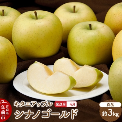 りんご【27年4月発送】シナノゴールド【良品】約3kg 先行受付|24_kta-060301d