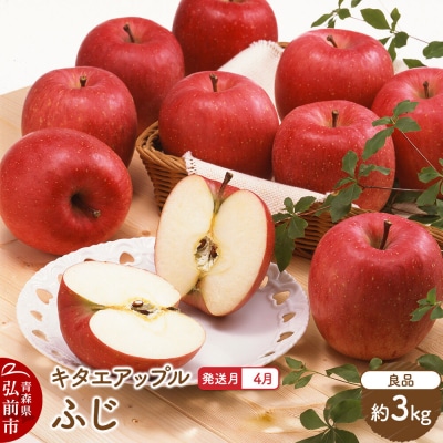 りんご【27年4月クール便発送】ふじ【良品】約3kg 先行受付|24_kta