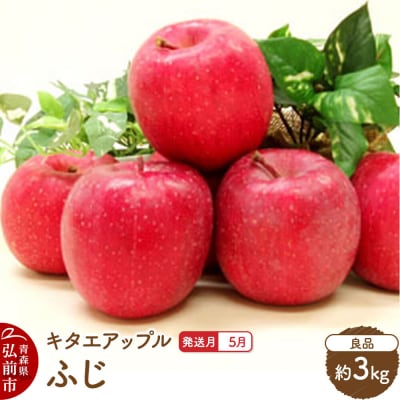【26年5月発送】りんご ふじ【良品】約3kg【CA貯蔵】|24_kta-080301e