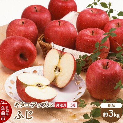 りんご【27年5月クール便発送】ふじ【良品】約3kg 先行受付|24_kta-080301e