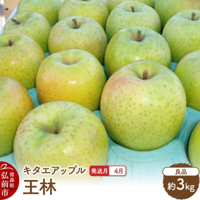 【26年4月発送】りんご 王林【良品】約3kg【CA貯蔵】|24_kta-100301d