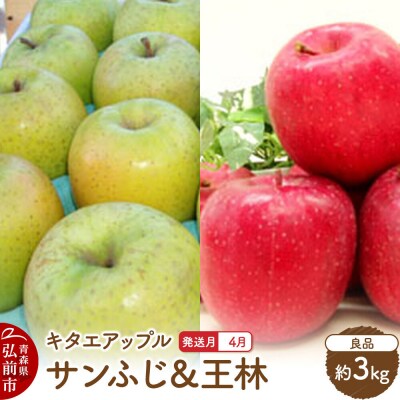 【26年4月発送】りんご サンふじ・王林【良品】約3kg【CA貯蔵】|24_kta-040301d