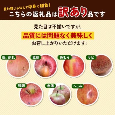 りんご ぐんま名月【訳あり】約3kg【CA貯蔵】|24_nng-090301al