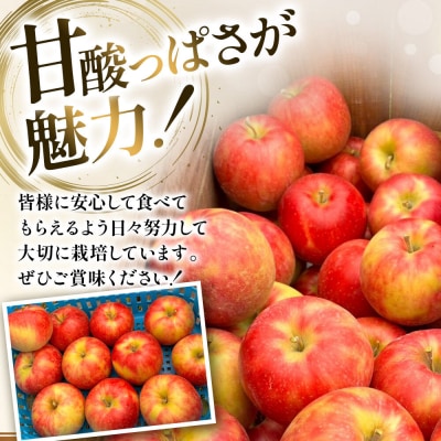 【26年10月発送】りんご 葉とらず ジョナゴールド【家庭用】約3kg|24_kmf-200301
