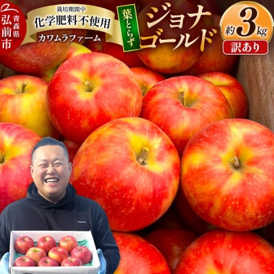 【26年10月発送】りんご 葉とらず ジョナゴールド【訳あり】約3kg|24_kmf-210301