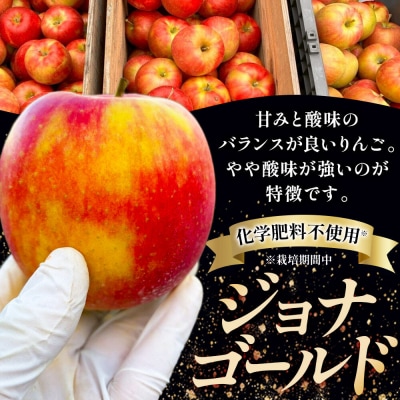 【26年10月発送】りんご 葉とらず ジョナゴールド【訳あり】約3kg|24_kmf-210301