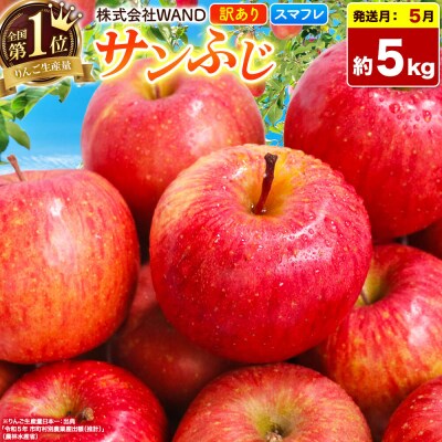 26年5月クール便発送 サンふじ 5kg 家庭用 スマートフレッシュ|24_wan-020501
