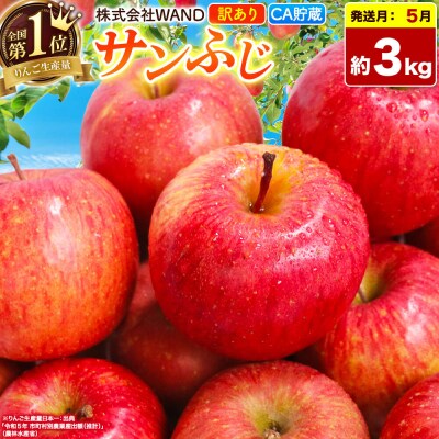 26年5月クール便発送 サンふじ 3kg 家庭用 CA貯蔵|24_wan-030301