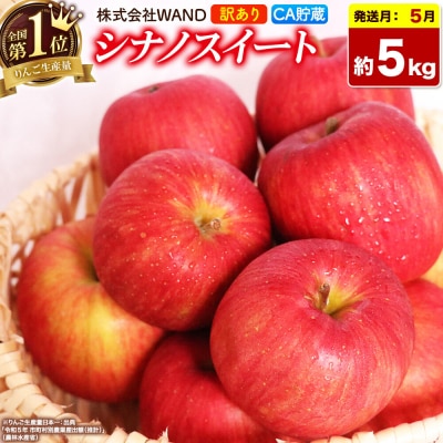 26年5月クール便発送 シナノスイート 5kg 家庭用 CA貯蔵|24_wan-050501