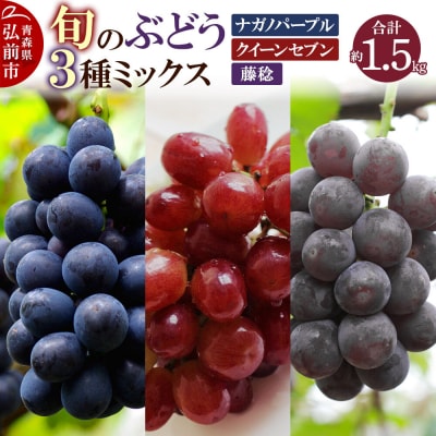 旬のぶどう3種ミックス 約1.5kg|24_mmr-011501