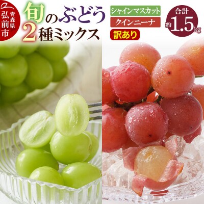 【訳あり】旬のぶどう2種ミックス 約1.5kg|24_mmr-021501