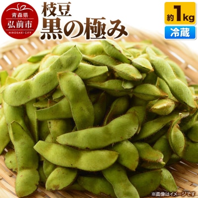 【26年8月クール便発送】枝豆 黒の極み 約1kg まもる農園|24_mmr-030101