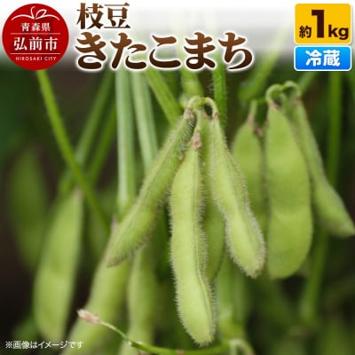 【26年9月クール便発送】枝豆 きたこまち 約1kg まもる農園|24_mmr-040101