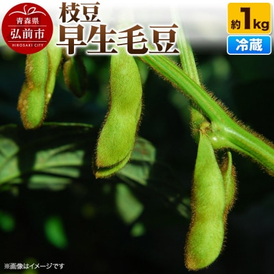【26年8月下旬～クール便発送】枝豆 早生毛豆 約1kg まもる農園|24_mmr-050101